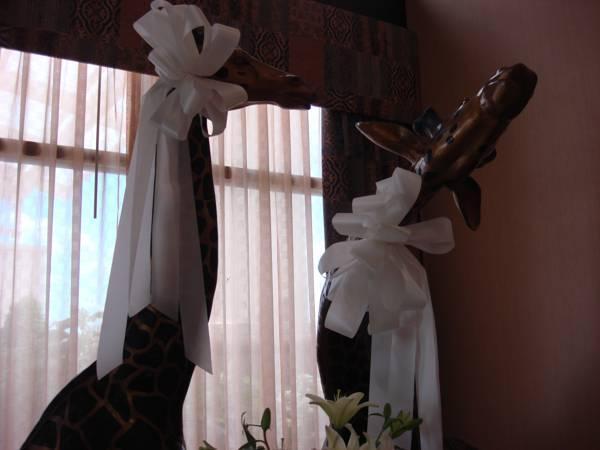 Holiday Inn Quincy By Ihg Extérieur photo